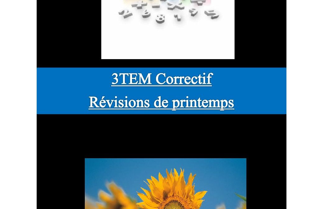 3Tem Mathématiques correctif révisions de printemps