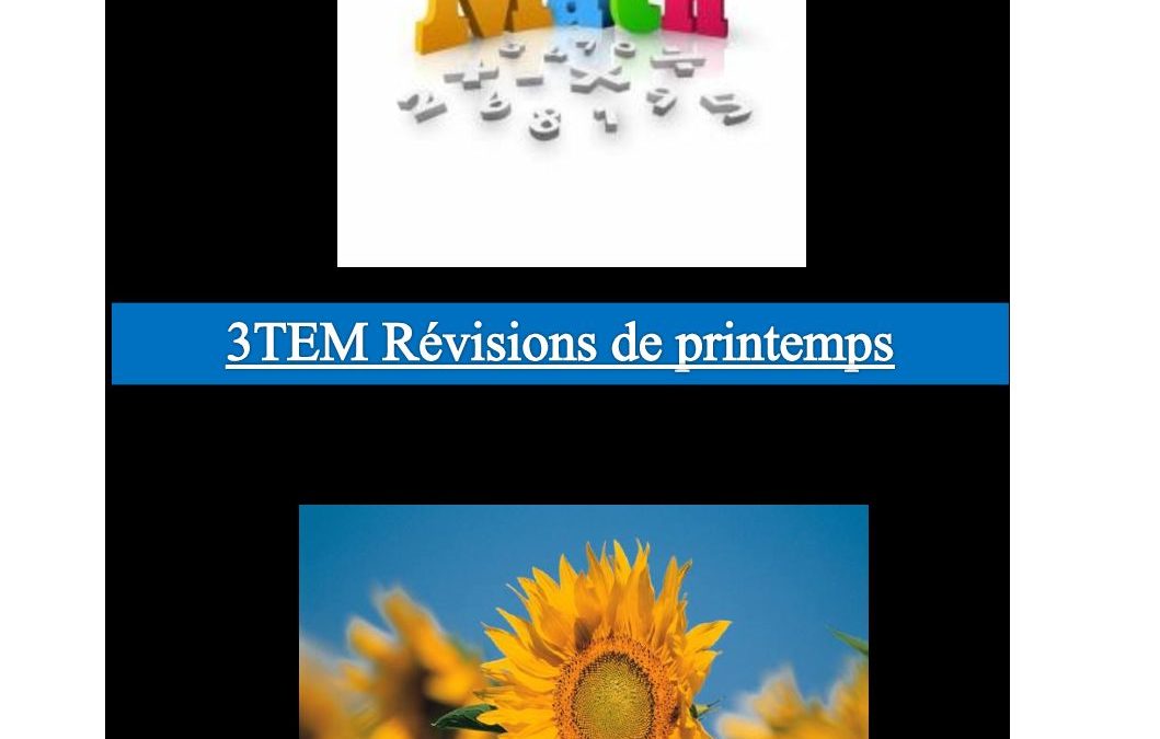 3Tem Mathématiques travail 2-230422020