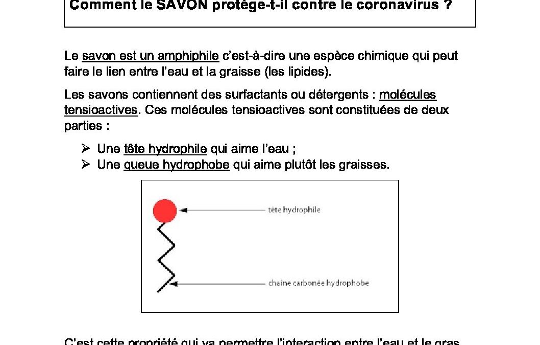 4-5-6 TTr TQ- Huy- Savon et histoire du lavage des mains BOURGEOIS HOGENBOOM-20042020