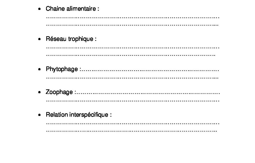 4P.Formation scientifique 2eme travail