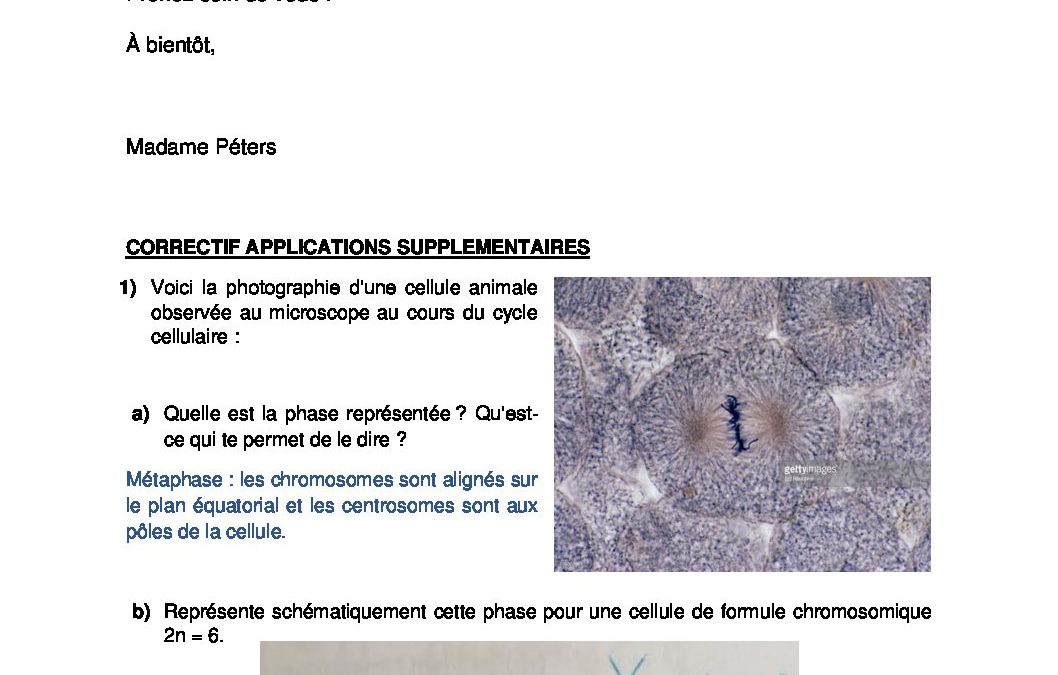 4SA.Biologie (suite correctif)