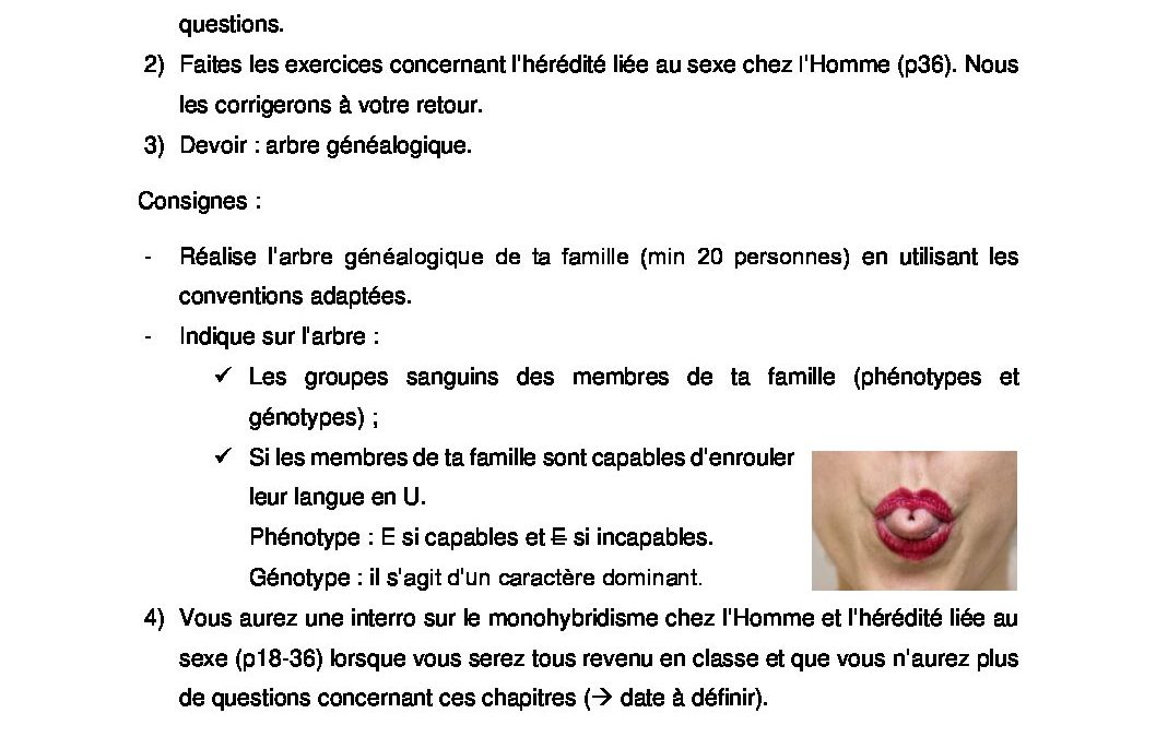 6SA.Biologie.Travail 1