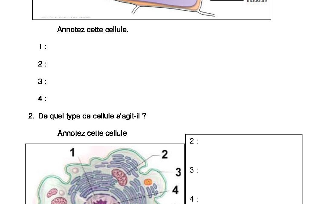 Biologie appliquée -Huy-4TSC-23032020