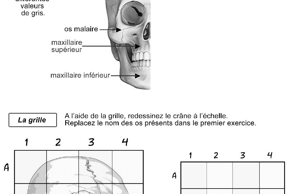 Dessin-Huy-3TSB-260302020