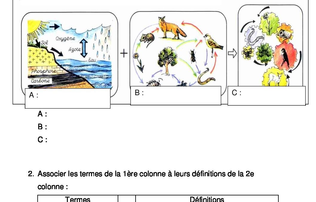 Formation scientifique-Huy-4Agri-23032020