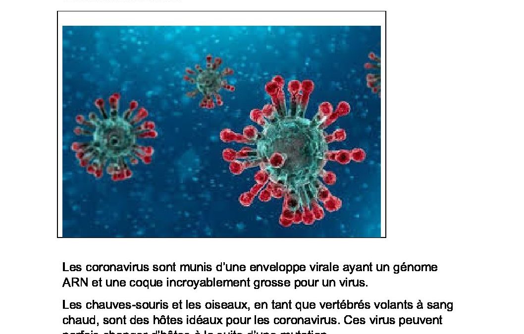 Formation scientifique-Huy-6TQ-23032020